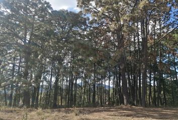 Lote de Terreno en  Tapalpa, Tapalpa, Tapalpa, Jalisco