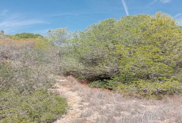 Terreno en  El Vendrell, Tarragona Provincia