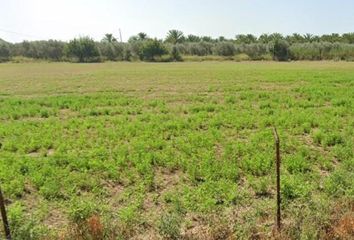 Terreno en  Catral, Alicante Provincia