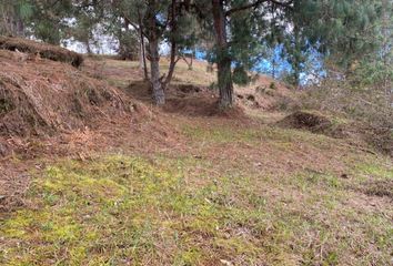 Lote de Terreno en  Las Palmas, Medellín