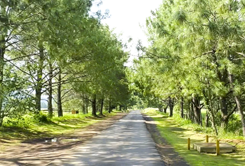 Lote de Terreno en  Calle López Mateos, San Antonio, Tapalpa, Jalisco, 49340, Mex