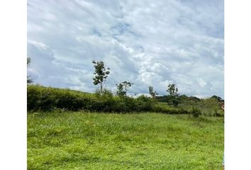 Lote de Terreno en  Arenillo, Manizales