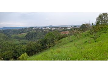 Lote de Terreno en  Cerritos, Pereira