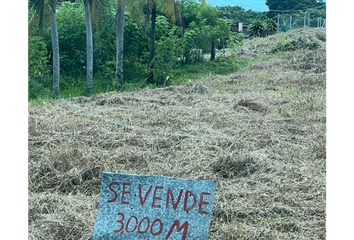 Lotes y Terrenos en  El Coco, La Chorrera