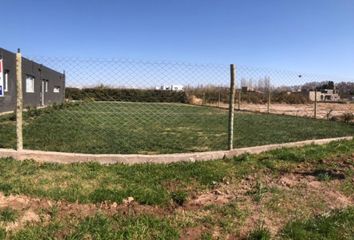 Terrenos en  Luján De Cuyo, Mendoza