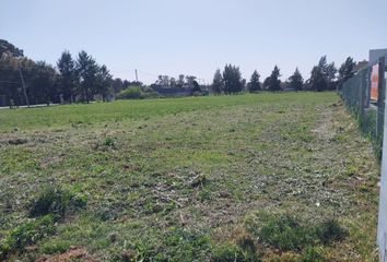 Terrenos en  El Pato, Partido De Berazategui