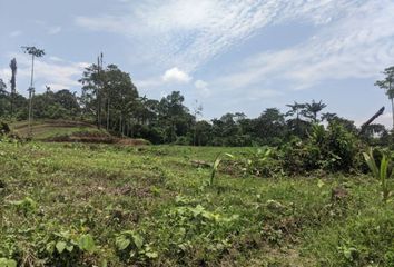 Terreno Comercial en  Pedro Vicente Maldonado