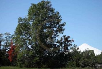 Parcela en  Villarrica, Cautín