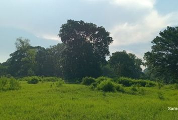 Rancho en  Avenida Cantón Montenegro, Tapachula, Chiapas, 30723, Mex