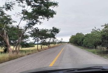 Rancho en  Calle Belisario Domínguez, Julio César Ruiz Ferro, Pedregal De San Ángel, Chiapa De Corzo, Chiapas, 29163, Mex