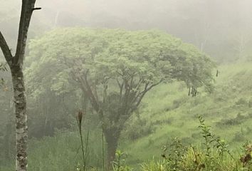 Rancho en  Carretera San Fernando - El Progreso, Ribera El Progreso, San Fernando, Chiapas, 29120, Mex