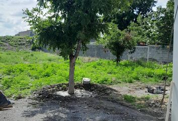 Lote de Terreno en  Barrio Macuyu, Parras