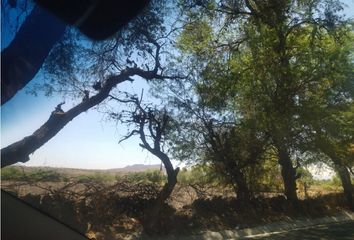 Lote de Terreno en  Rancho O Rancheria Ojo De Agua De Ballesteros, Salvatierra