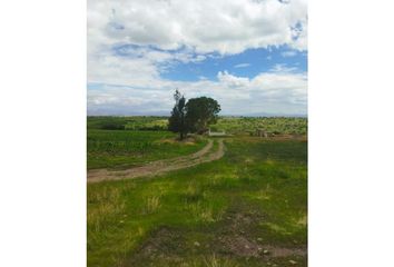 Lote de Terreno en  Felipe Carrillo Puerto, Santiago De Querétaro, Municipio De Querétaro