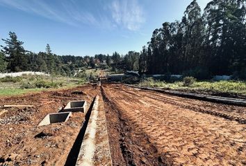 Parcela en  Viña Del Mar, Valparaíso