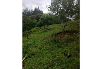 Lote de Terreno en  Rionegro Antioquía