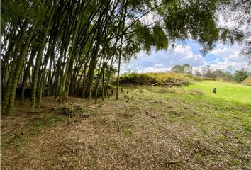 Lote de Terreno en  La Ceja, Antioquia