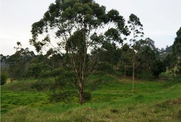 Villa-Quinta en  La Ceja, Antioquia