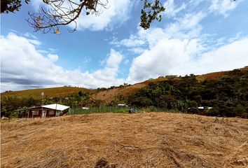 Lote de Terreno en  Sendo, Dagua