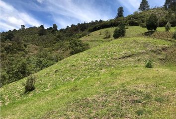 Lote de Terreno en  El Retiro, Antioquia