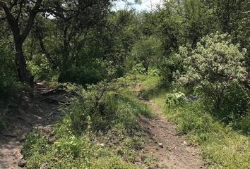 Lote de Terreno en  Avenida Sabino, Santa María Magdalena, Tepeji Del Río De Ocampo, Hidalgo, 42860, Mex