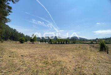 Lote de Terreno en  Gordo, Avándaro, Valle De Bravo, México, 51200, Mex