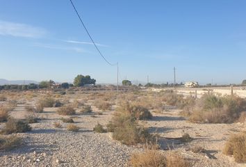 Terreno en  Elx/elche, Alicante Provincia