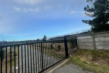 Bodega en  Maullín, Llanquihue