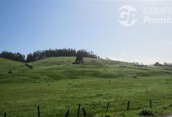 Parcela en  Paredones, Cardenal Caro