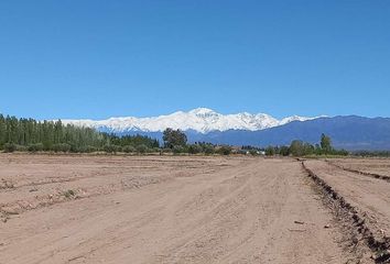 Terrenos en  Luján De Cuyo, Mendoza