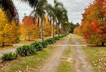 Terrenos en  Baradero, Partido De Baradero