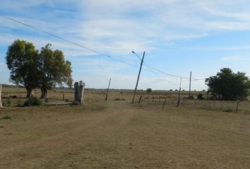 Terrenos en  Villa Elvira, Partido De La Plata