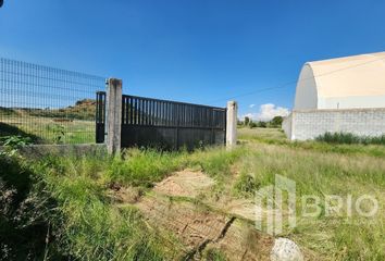 Lote de Terreno en  José María Morelos, La Tinaja, Durango, Mex