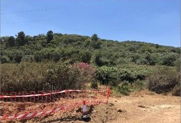 Terreno en  Almaden De La Plata, Sevilla Provincia