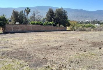 Lote de Terreno en  Jocotepec Centro, Jocotepec