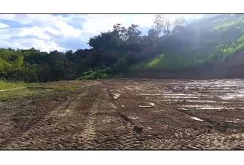 Lote de Terreno en  Circasia, Quindío