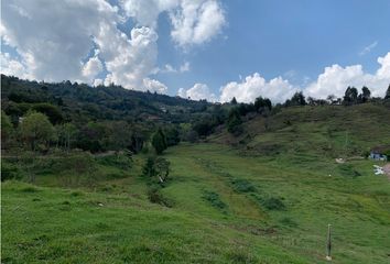 Lote de Terreno en  Guarne, Antioquia