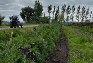 Parcela en  Palmilla, Colchagua