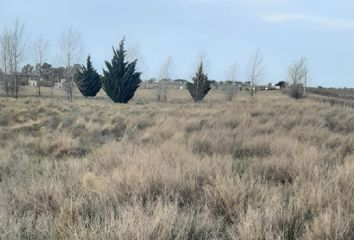 Terrenos en  Ataliva Roca, La Pampa