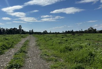 Parcela en  Bulnes, Ñuble (región)