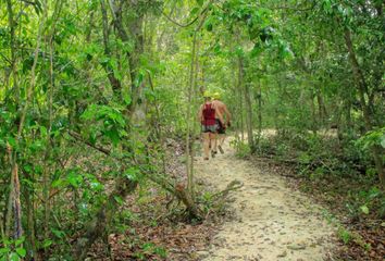 Lote de Terreno en  Calle Heriberto Frías 2-2, Región 2, Puerto Morelos, Quintana Roo, 77580, Mex