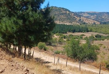 Parcela en  Santa Cruz, Colchagua