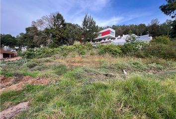 Lote de Terreno en  Los Nogales, Pátzcuaro, Pátzcuaro, Michoacán