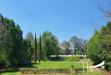 Rancho en  Calle Olvido, San Mateo Coapexco, Villa Guerrero, México, 51783, Mex