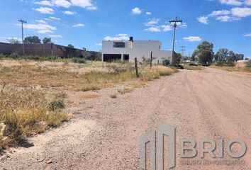 Lote de Terreno en  Calle Fresno, Quince De Mayo, Tapias, Durango, 34103, Mex