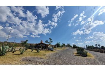 Lote de Terreno en  Camino Real, Sahuayo De Morelos