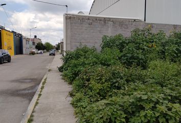 Lote de Terreno en  Calle Jesús Moreno 499-547, Pedregal San José, La Piedad De Cabadas, La Piedad, Michoacán De Ocampo, 59350, Mex