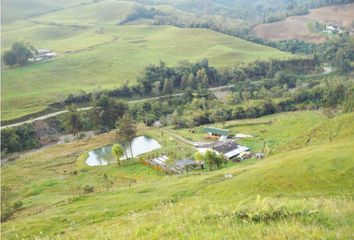 Villa-Quinta en  Manizales, Caldas