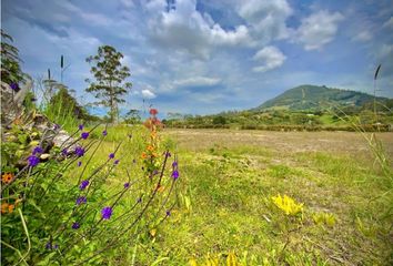 Lote de Terreno en  La Ceja, Antioquia