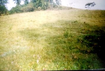 Lote de Terreno en  Sinai, Manizales